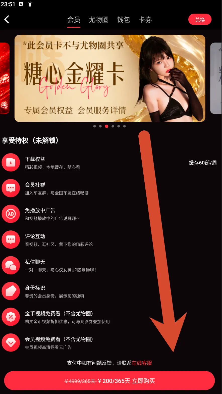 糖心金耀卡会员价格界面示例